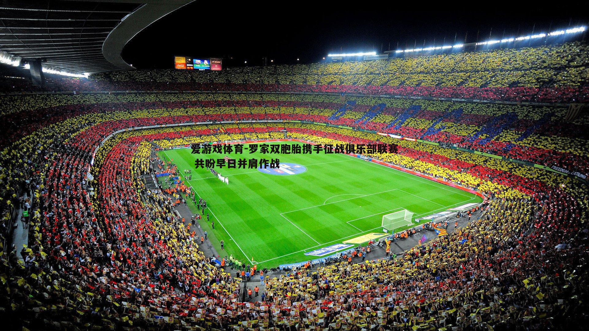 罗家双胞胎携手征战俱乐部联赛 共盼早日并肩作战